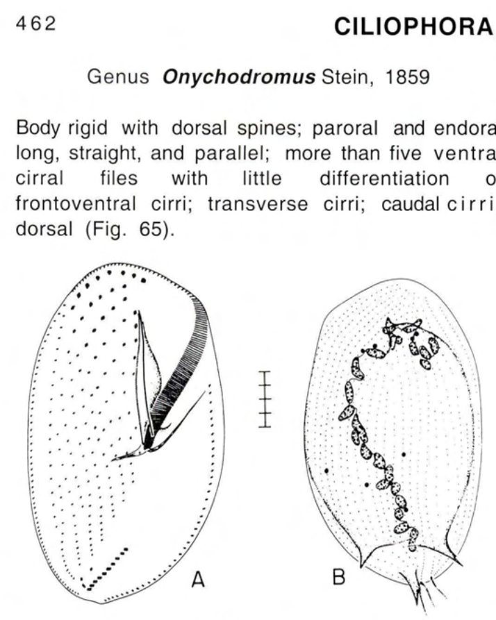 Figure 65