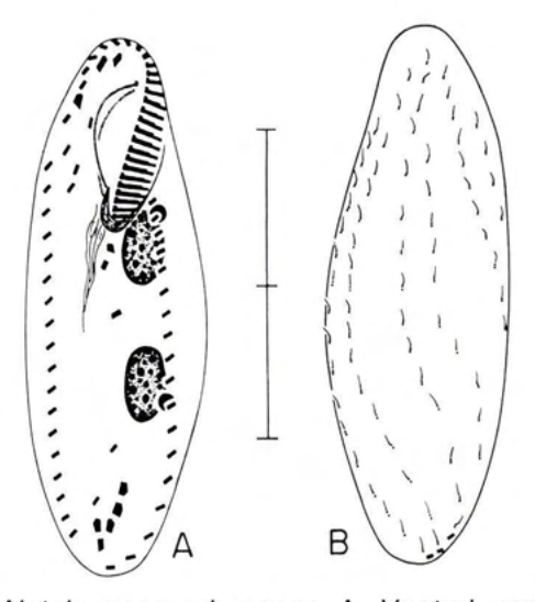 Figure 71