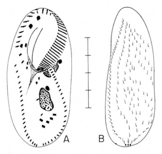 Figure 73