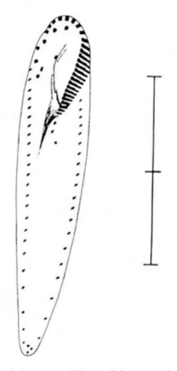 Figure 76