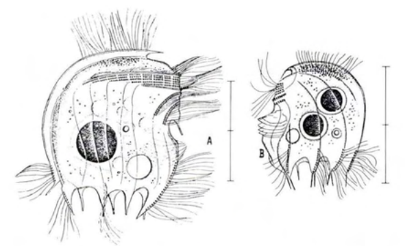 Figure 15