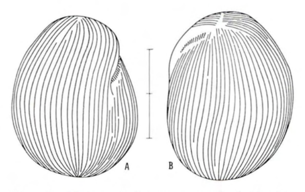 Figure 22