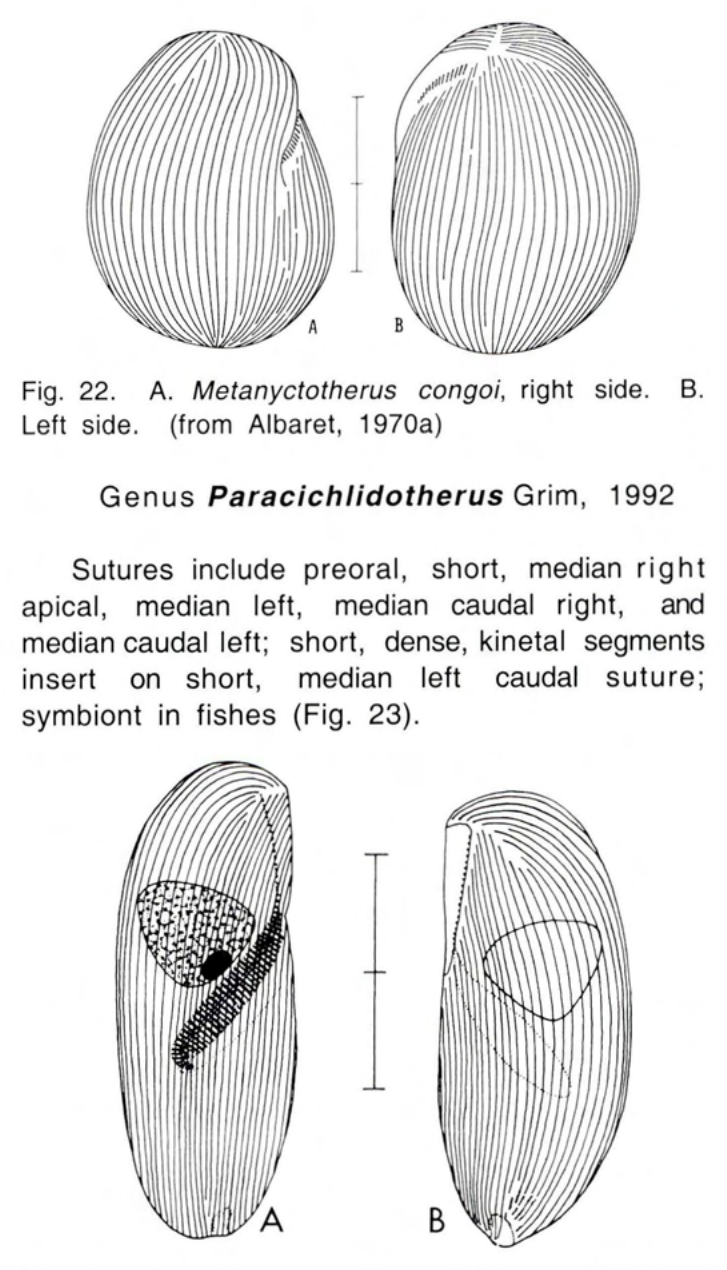 Figure 23
