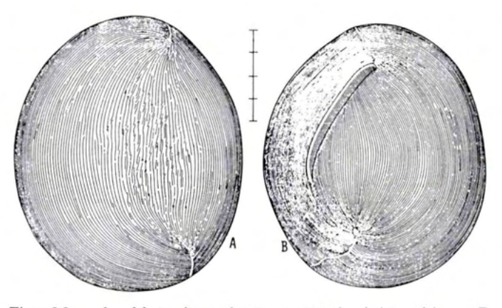 Figure 26