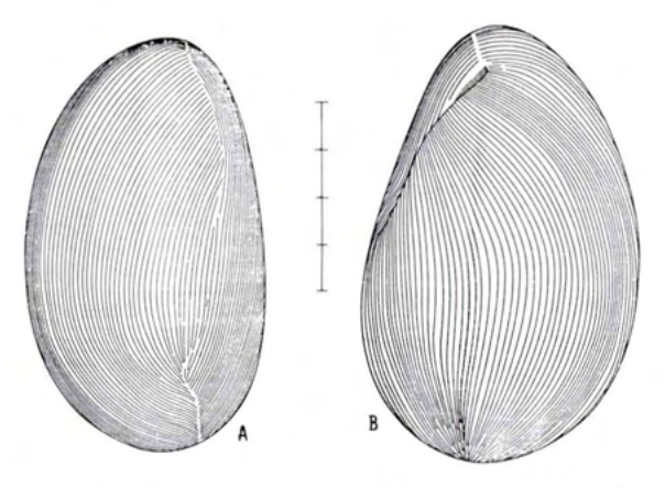 Figure 27