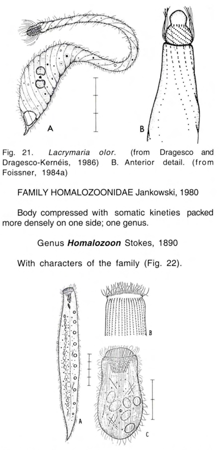Figure 22