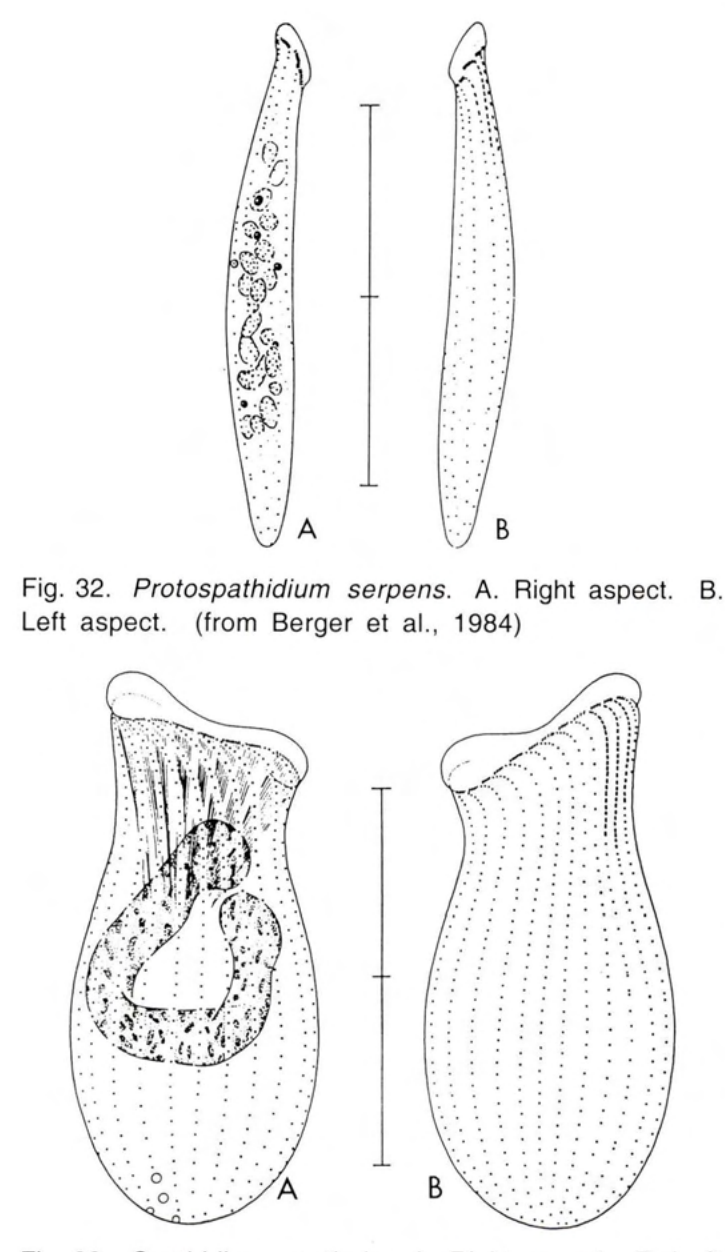 Figure 33