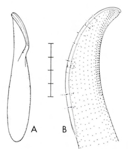 Figure 35