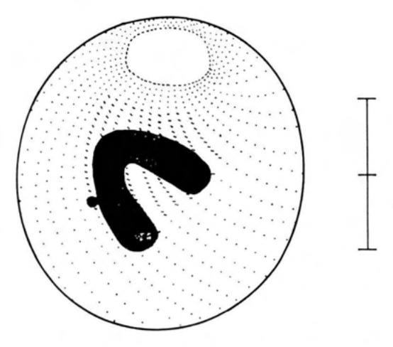 Figure 40