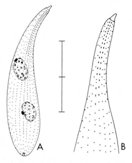 Figure 43