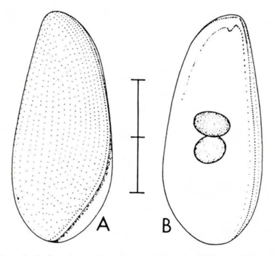 Figure 44