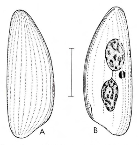 Figure 46