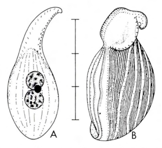 Figure 49