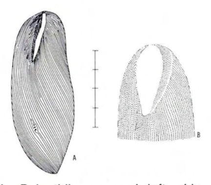 Figure 54