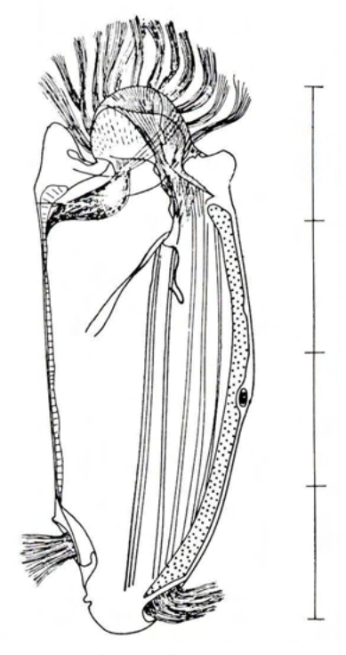 Figure 69