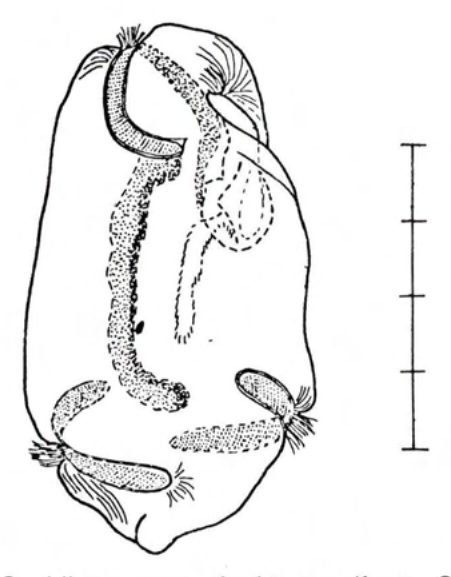 Figure 72