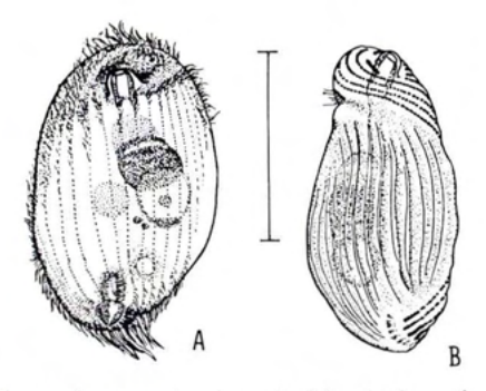 Figure 22
