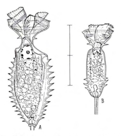 Figure 16