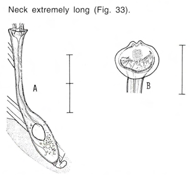 Figure 33