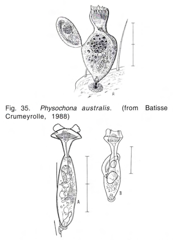 Figure 36