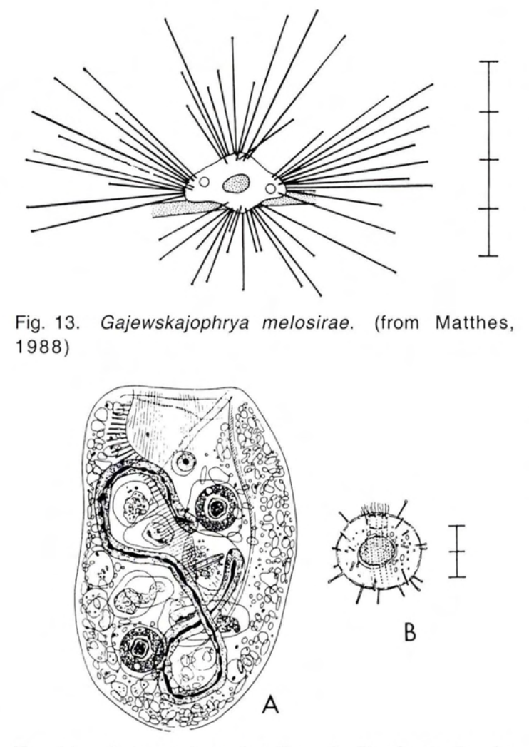 Figure 14