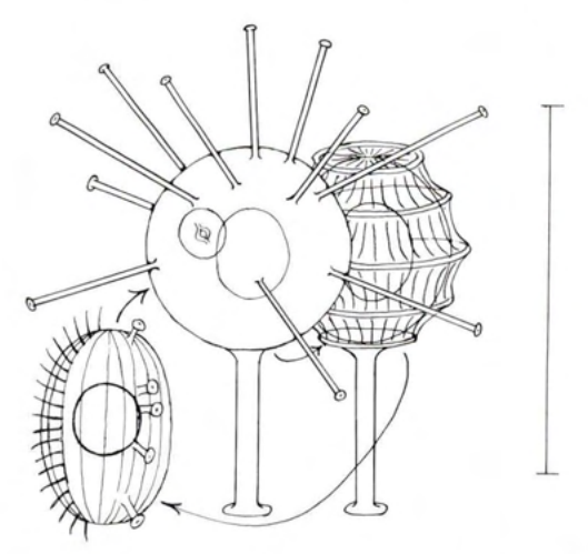 Figure 16