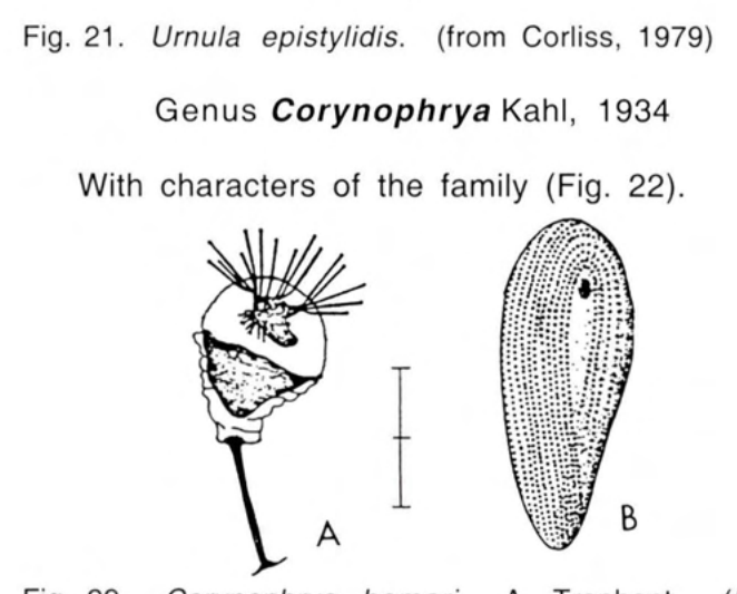 Figure 22
