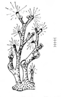 Figure 23