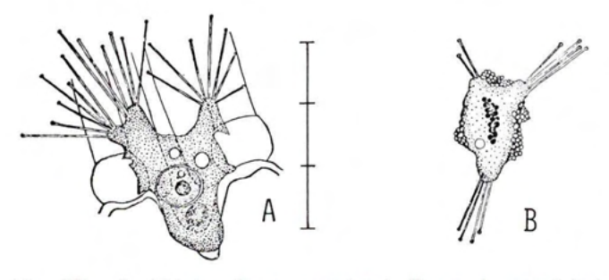 Figure 25