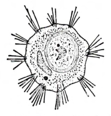 Figure 26