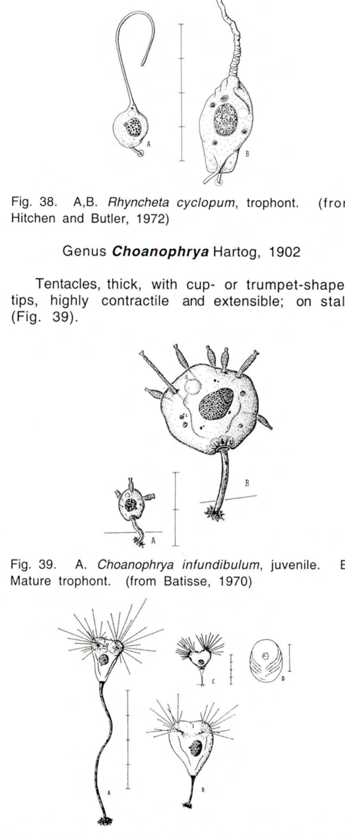 Figure 40