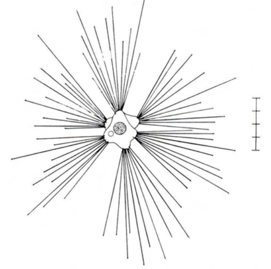 Figure 41