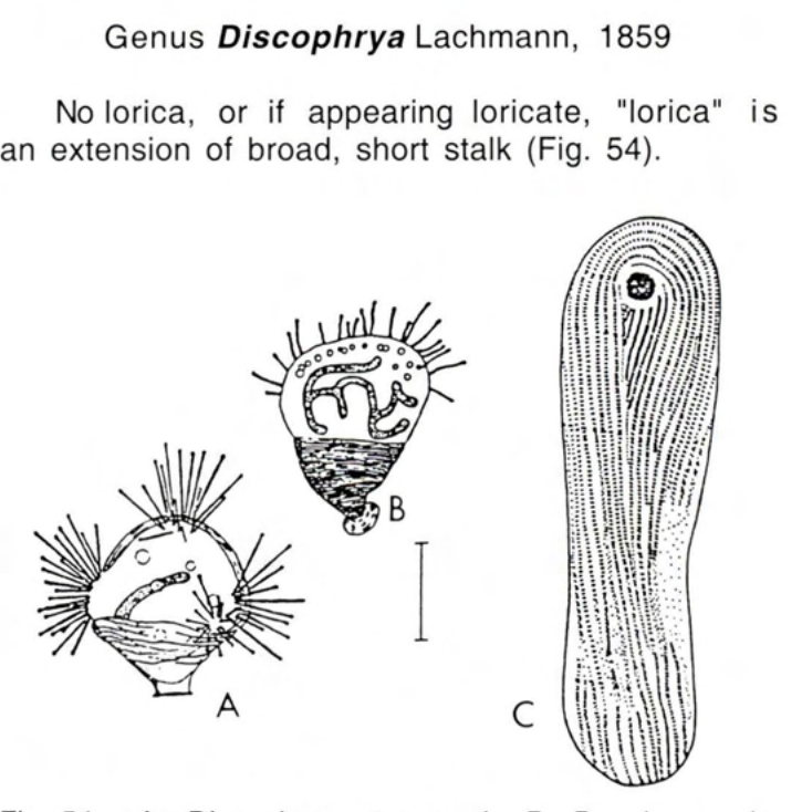 Figure 54