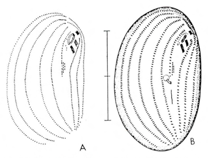 Figure 24