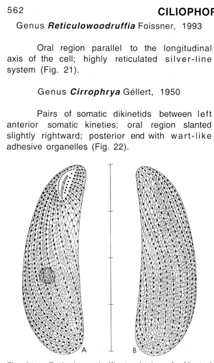 Figure 21