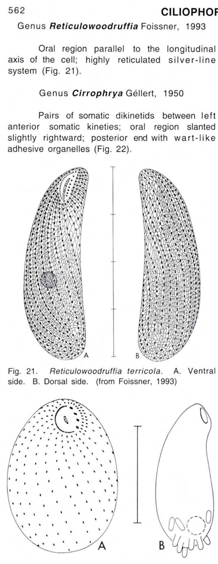 Figure 22
