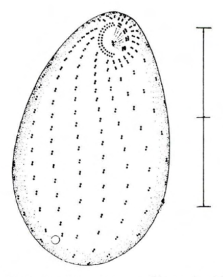 Figure 23