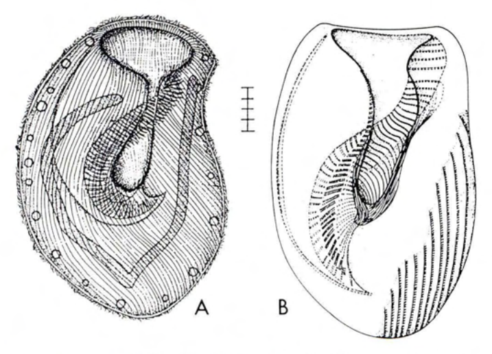Figure 24