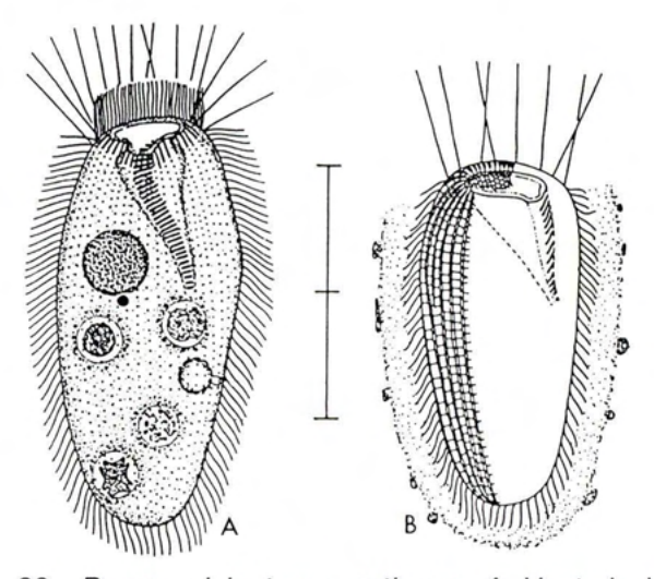 Figure 26
