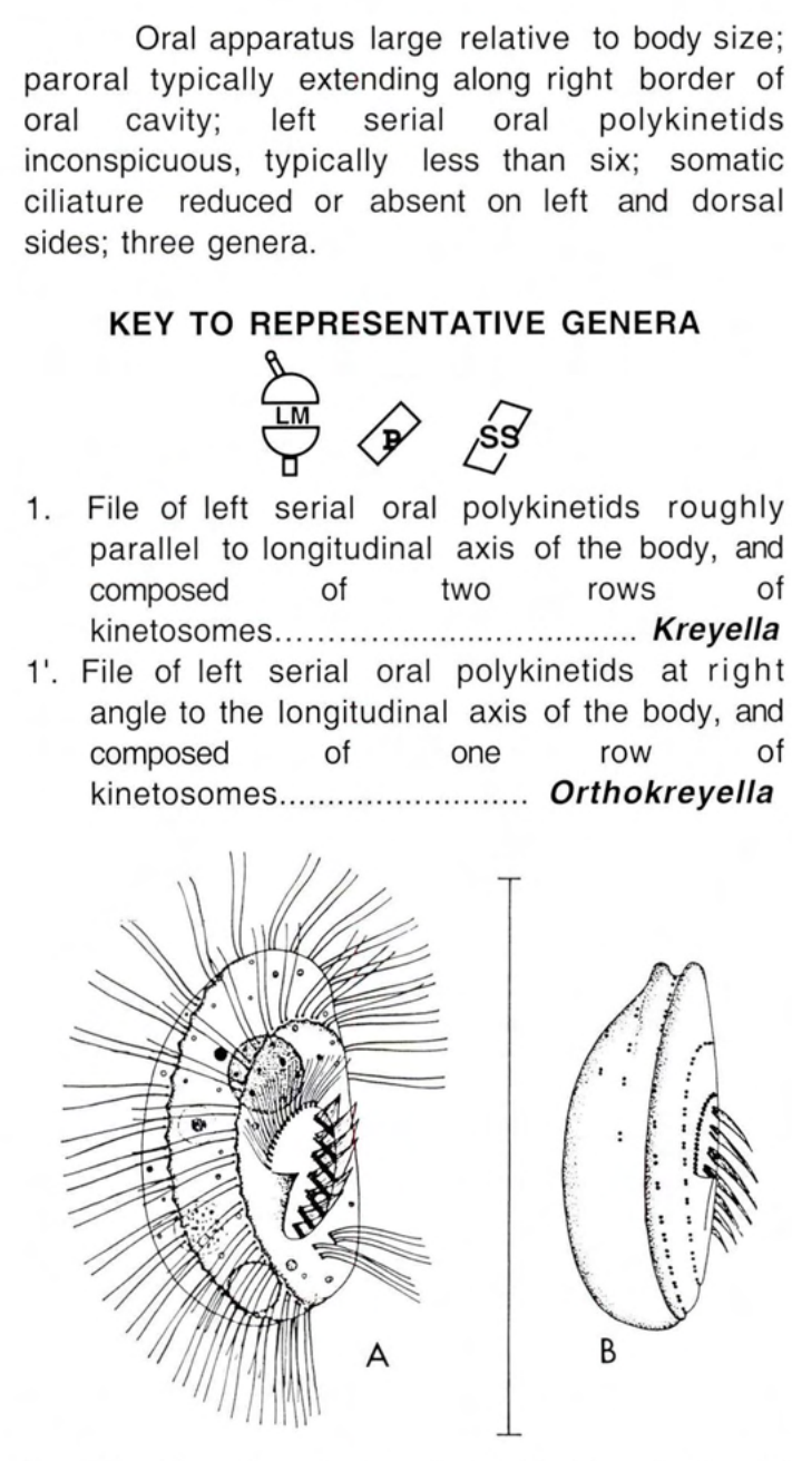 Figure 33