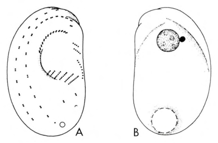 Figure 34