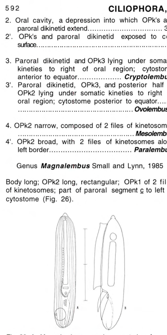 Figure 26
