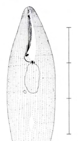 Figure 27