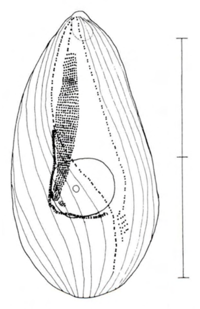Figure 28