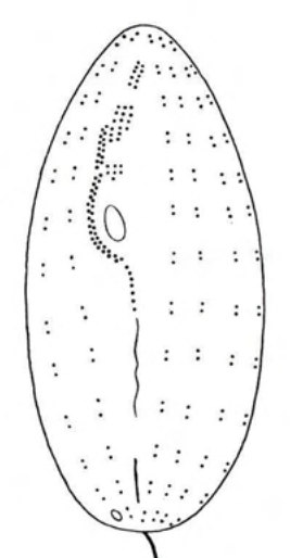 Figure 38