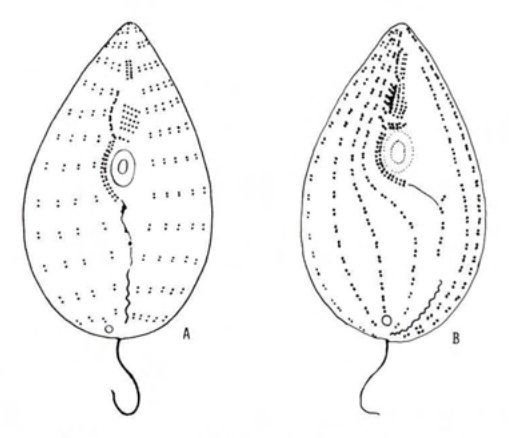 Figure 39