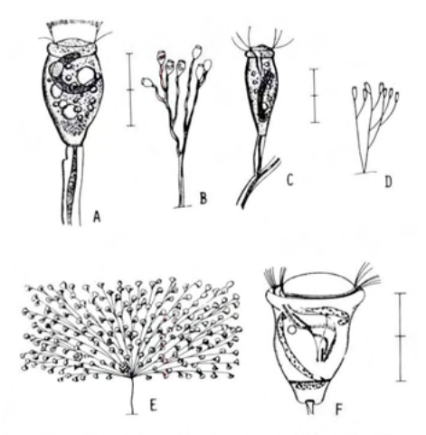 Figure 22